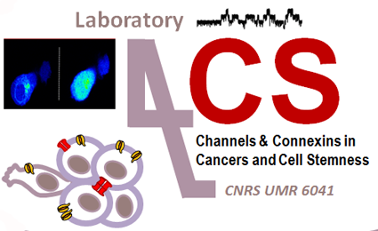 Logo du laboratoire 4CS  